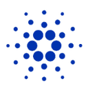 Cardano